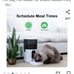 Auto feeder (pets)