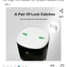 Auto feeder (pets)
