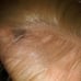 18 inch Blonde hand tied 360 Italian lac