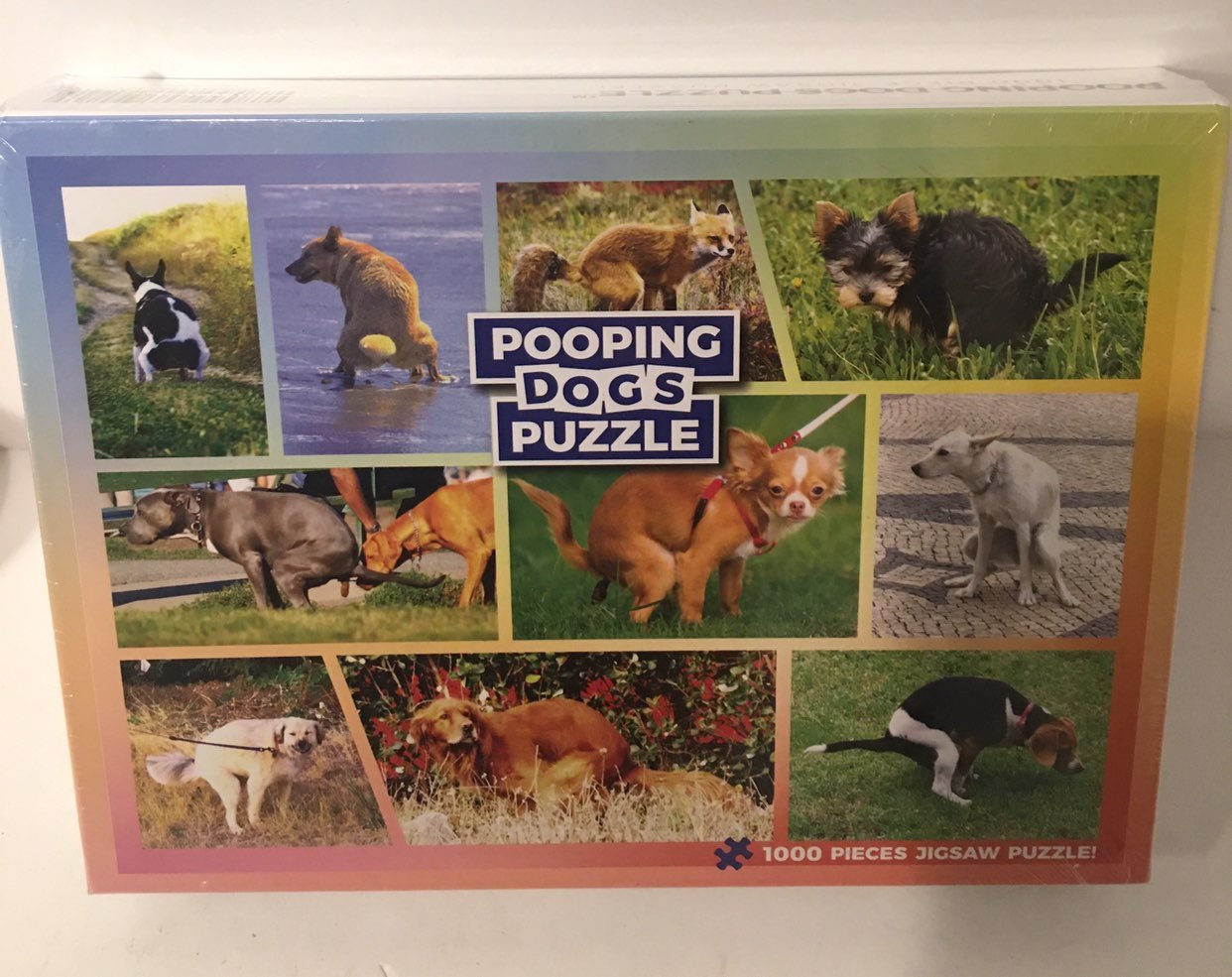 Dog pooping puzzle