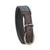 Myra Bag Hand Tooled Leather Western Painted Padded Dog Collar Size S