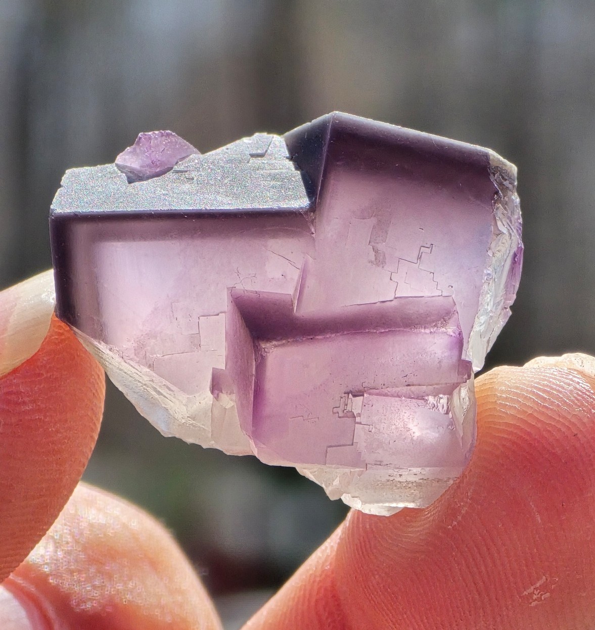 RARE & SUPER GORGEOUS Purple Zoned Cubic Fluorite w Clear Termnd Calcite Flowers