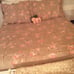 Rachel Ashwell Simply Shabby Chic Duvet Set FQ Floral Castle with Shams RARE
