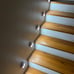 LED Motion Sensor Night Light, Automated On & Off 6-Pack