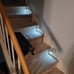 LED Motion Sensor Night Light, Automated On & Off 6-Pack