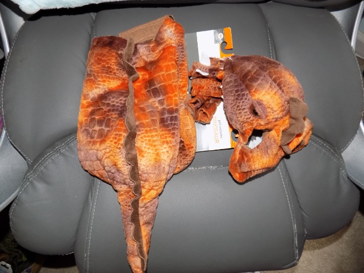 Target Pet Dinosaur T-Rex Costume Size S NEW