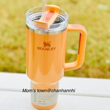 Bellini Shimmer Stanley 40oz tumbler