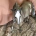 Breyer horse