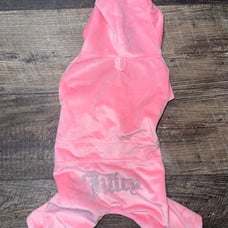 Juicy Couture dog tracksuit