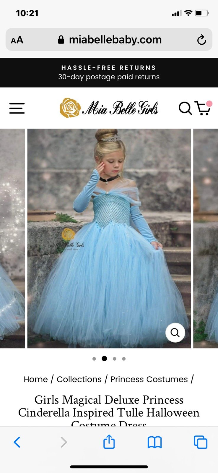 Cinderella Inspired Halloween/Dress Up Costume