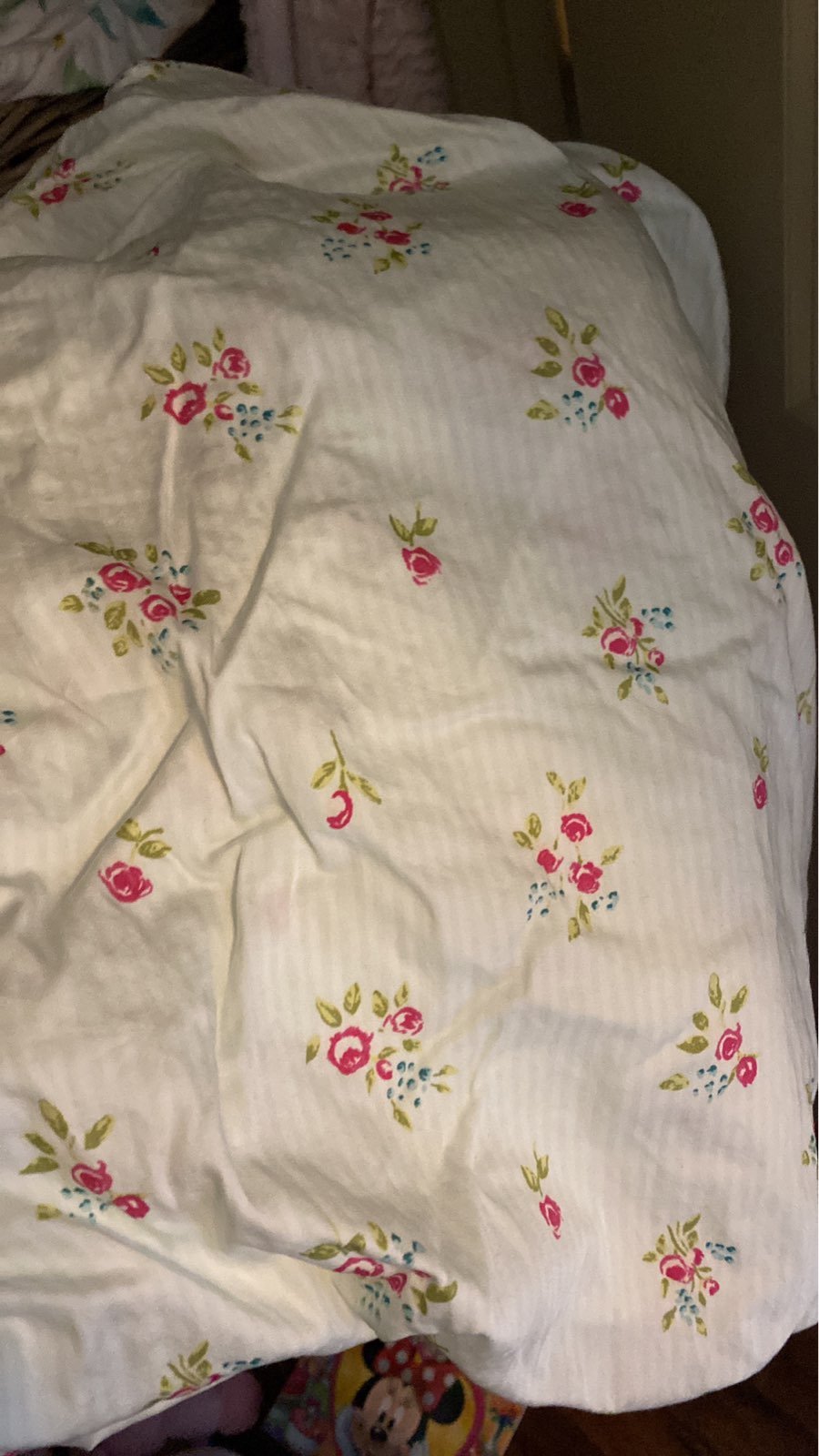 Sweethoney twin fitted sheet ONLY - mint floral stripe