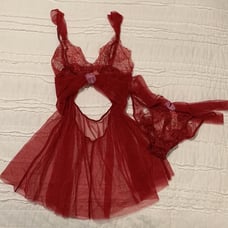 VS Dream Angels Tulle & Lace Babydoll Set