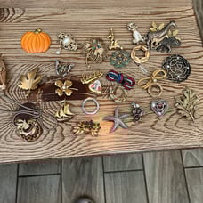 Vintage. Brooch and Pin Lot