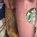 Full Set Disney Parks Walt Disney World Starbucks Travel Tumblers New Free Ship