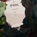 NWT Hale Bob Silk/Velour Sequin Halter Top with Tie Front XS