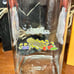 Rare Vintage Taz Looney Tunes Pasta Glass Container