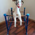 Vintage kids rocking horse Wonder Clip-Clop