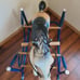 Vintage kids rocking horse Wonder Clip-Clop