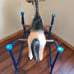 Vintage kids rocking horse Wonder Clip-Clop