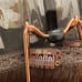 Brand new Human hair clip on by Bellami