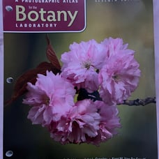 A Photographic Atlas for the Botany/Plant Anatomy Laboratory Manual