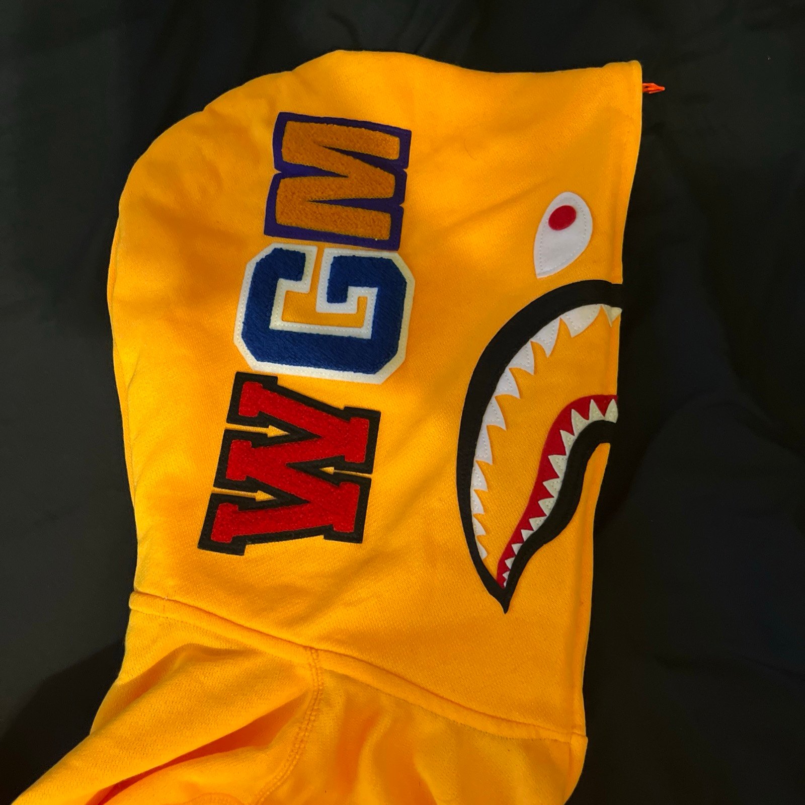 Bape Shark hoodie