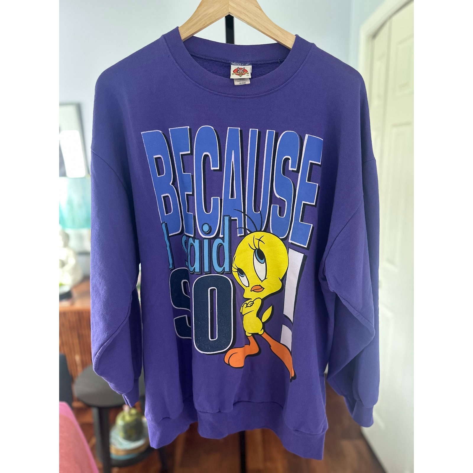 Looney Tunes Tweety Bird 90s Vintage Graphic Sweatshirt