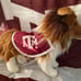 Texas A&M Mascot Plush and Large Flag Bundle