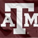 Texas A&M Mascot Plush and Large Flag Bundle