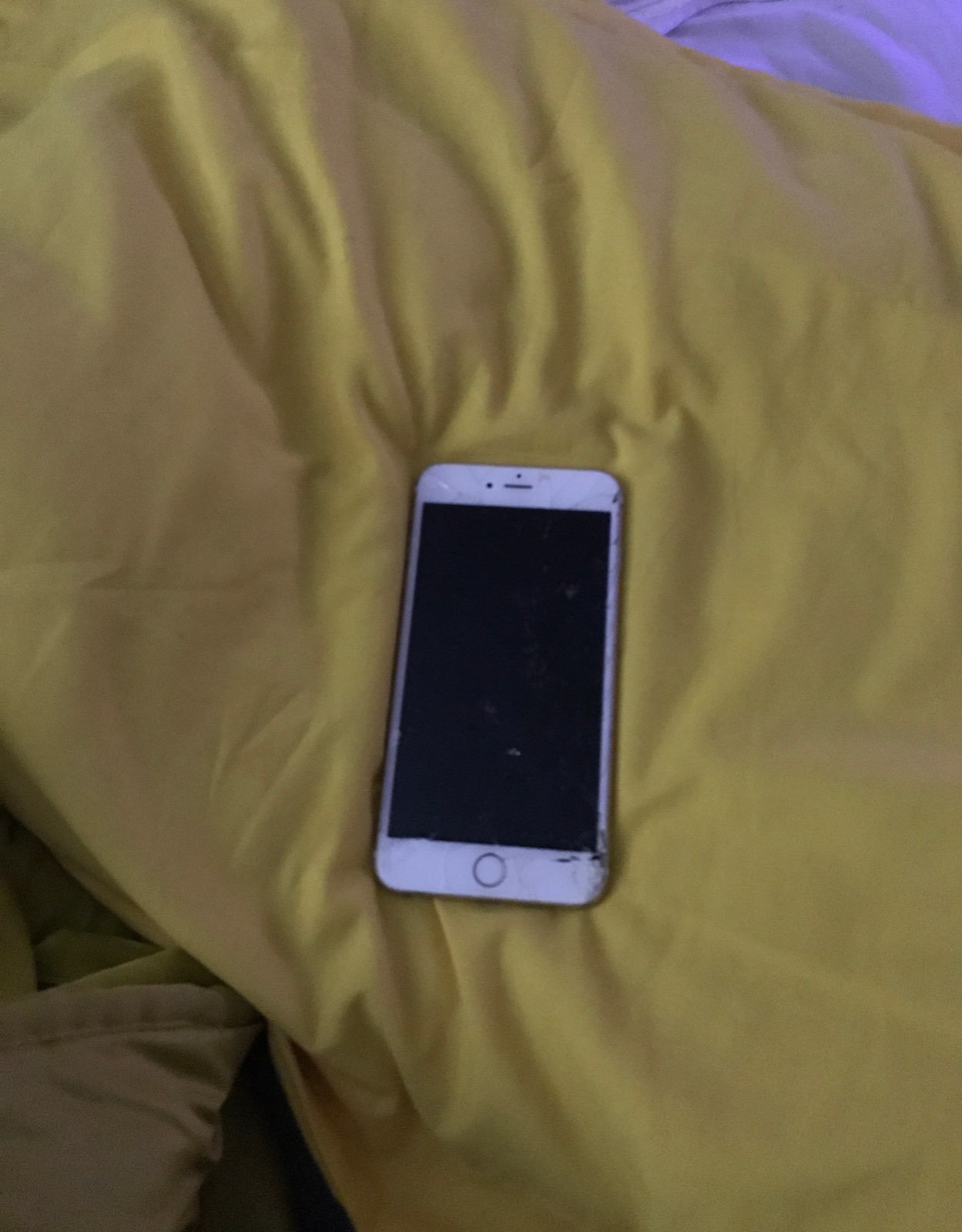 iPhone 6s Plus Gold 64 GB Unlocked