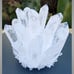 quartz crystal flower 01
