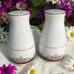Vintage Noritake Porcelain Salt & Pepper Shakers- Belle Empress- Floral Design