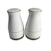 Vintage Noritake Porcelain Salt & Pepper Shakers- Belle Empress- Floral Design