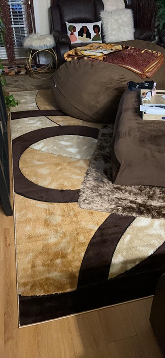 Area Rug 2x3 Brown Door Mat Modern Circles Soft Contemporary Floor Carpet