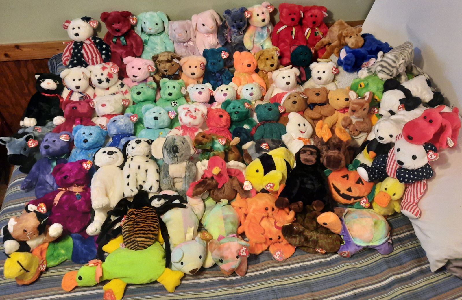 Beanie Babies & Buddy lot