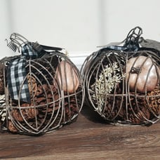 Fall pumpkins