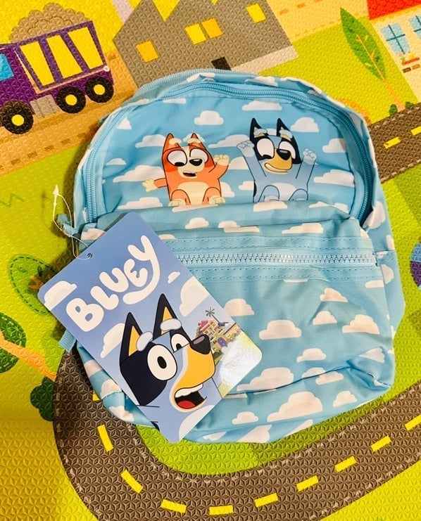 Bluey backpack