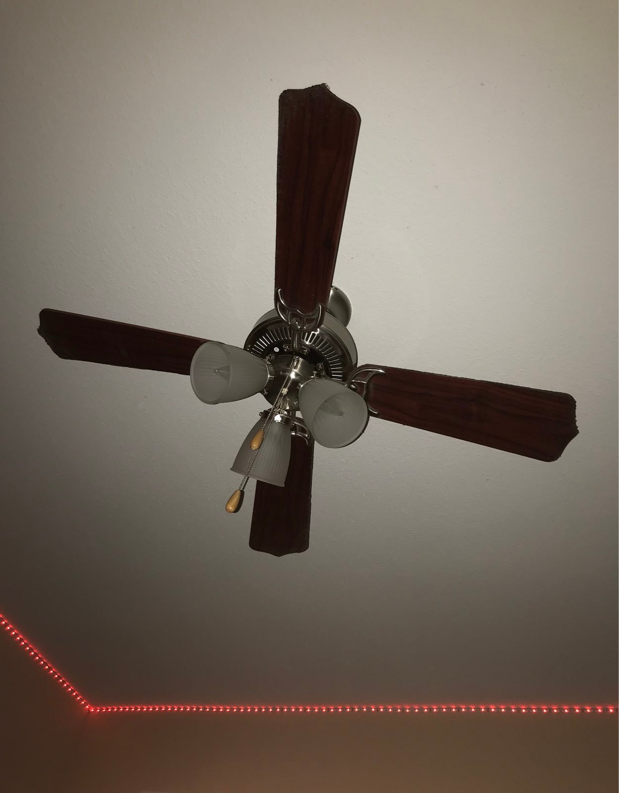 a fan
