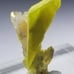 ULTRA RARE ETTRINGITE REPLACING CALCITE