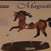 Breyer Magnolia