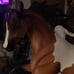 Breyer Magnolia