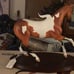 Breyer Magnolia