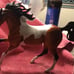 Breyer Magnolia