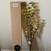 Arhaus Large light Up Holiday Branch.