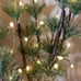 Arhaus Large light Up Holiday Branch.
