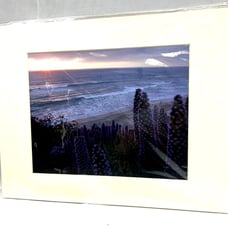 Encinitas, California Evening 8 x10 in 11 x 14 matting signed by the photograph