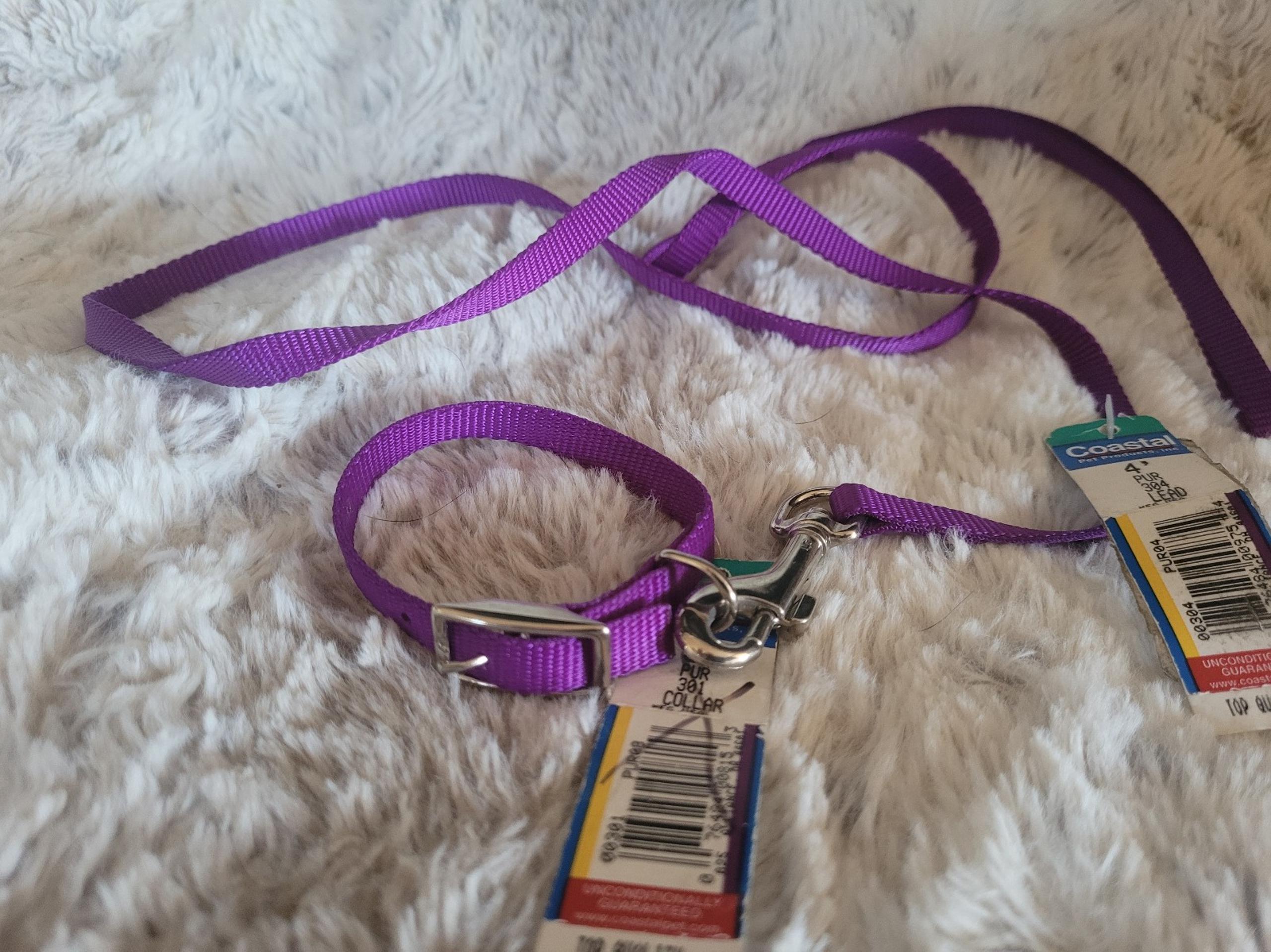 Dog Collar 8" Metal Buckle & 4' Leash Set Purple Nylon XS Pet Puppy