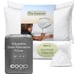 Coop Home Goods Essence Down Alternative Pillow Set of 2, King Size NWT
