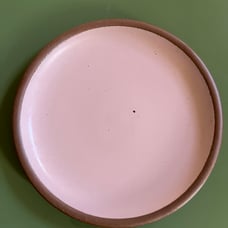 East Fork piglet side plate never used retired color