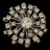 Crystal Brooch